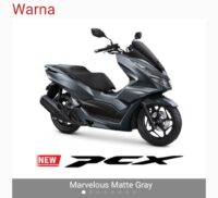 pcx honda (1)