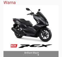 pcx honda (2)
