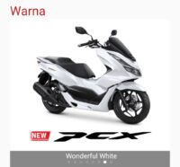 pcx honda (3)