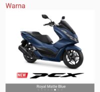 pcx honda (4)