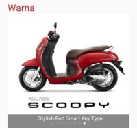 scoppy (3)