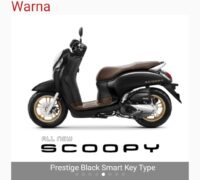 scoppy (6)