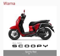 scoppy (7)