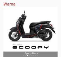 scoppy (9)